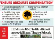 Kolkata's McPherson Square: 50 Trees Ordered to Replace Illegally Felled Greenery
