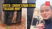 London's New Outdoor Sport: Counting 50 Paan Stains in 30 Minutes in Wembley