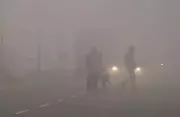 Ludhiana Fog Crisis: Red Alert Issued, Visibility Drops to 50 Meters