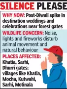 Mandla Bans Loud Music, Fireworks Near Kanha Tiger Reserve Until Jan 5