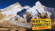 Mount Everest: The Shocking Costs, Crowds & Science Behind the World's Tallest Peak