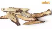 Mulethi Side Effects: 4 Health Risks of Ayurvedic Licorice Root