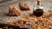Myrrh: The Bitter Word That Refuses to Be Modern