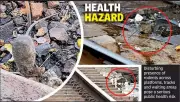 Nagpur Railway Station: Infrastructure Upgrades Fail to Mask Filth & Rodent Menace
