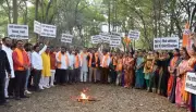 Nashik Kumbh Mela: Tree Felling for Sadhugram Sparks Political & Environmental Row