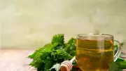 Nettle Tea Benefits: From Prostate Health to Blood Sugar Control