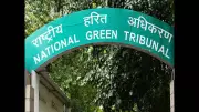 NGT Issues Notices Over Alleged Illegal Felling of 5,000+ Trees for Baripada Bus Terminal