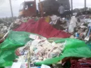 NGT Slams Punjab Over Sangrur's Waste Crisis, Seeks Action by Feb 2026