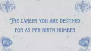 Numerology Career Guide: Find Your Destiny Based on Birth Number