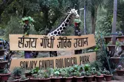 Patna Zoo Deploys 50 Oil Heaters & Special Diet to Protect Animals from Cold