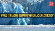 Peak Glacier Extinction by 2050: 4,000 Glaciers Could Vanish Yearly, Study Warns