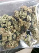 Prakasam Police Seize 7kg Ganja at Ongole Railway Station, 5 Detained