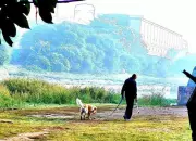 Pune's Mercury Plummets: City Colder Than Mahabaleshwar at 9.4°C