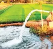 Punjab's Groundwater Crisis Deepens: 156% Extraction Leads India