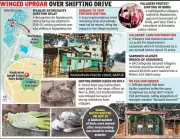 Raipur Bird Relocation Sparks Protests: Villagers File Police Complaint