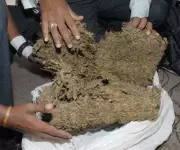 RPF Seizes 4kg Ganja at Trichy Junction, Monthly Haul Hits 40kg