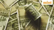 Rupee Jumps 1%, Posts Biggest Gain in 7 Months After RBI Intervention