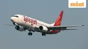 SpiceJet Adds 100 Flights Amid IndiGo Crisis, Backs Govt Probe