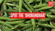 Spot The Dhurandhar: Viral Pea Pod Illusion Stumps Instagram