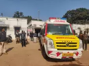 Tiger Attacks Forest Guard in Bandhavgarh During Census, Highlights Poaching Fears