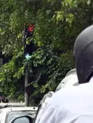 Traffic Violations in Delhi Surge 147% in 2025, AI Cameras Blamed