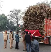 UP Cane Dept Tightens Rules: Free Loading for Farmers, Fluorescent Strips for Safety