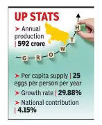 UP Expands Backyard Poultry Scheme to Bridge Massive Egg Deficit