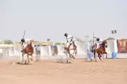 Wankaner Hosts 17th Kama Horse Show, Showcasing Kathiawadi Heritage