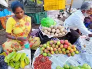 Winter Mangoes in Mysuru: Off-Season Delight from Tamil Nadu Sparks Curiosity & Low Demand