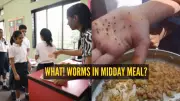 Worms Found in Midday Meal Rice in Karnataka School, Officials Suspend Staff