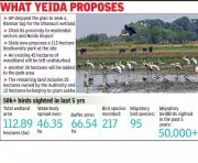 YEIDA Launches Feasibility Study for Dhanauri Wetland Biodiversity Park