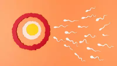 2026 Fertility Reset: Small Lifestyle Changes for Big Impact