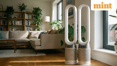 5 Best Air Purifiers for Year-Round Use in Indian Homes