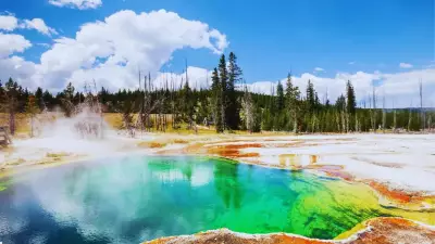 5 Must-Visit US National Parks in January for Wildlife Enthusiasts