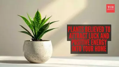 7 Vastu Plants for Luck & Positive Energy in Your Home in 2026