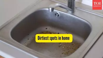 8 Dirtiest Spots in Your Home That Need Daily Cleaning for Health