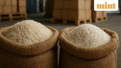 Basmati Stocks Plunge 3.5% as Iran Export Crisis Hits ₹2,000 Cr Shipments