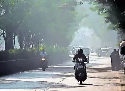 Bihar Weather Shift: IMD Predicts Yellow Alert, Relief from Severe Cold