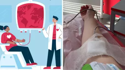 Blood Donation Myths Busted: Experts Reveal Crucial Facts for Donors
