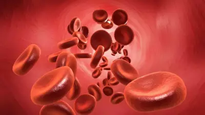 Blood Type A Linked to Higher Stomach Cancer Risk: Nature Study Reveals Pattern