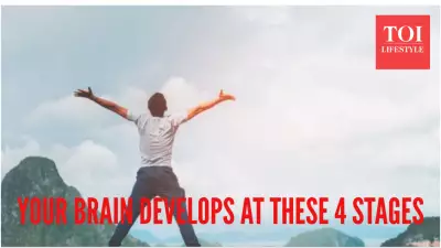 Brain Development Has 5 Key Stages: Milestones at Ages 9, 32, 66, 83