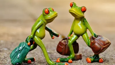 Budget 2026 Expectations: Travel & Tourism Sector Seeks Structural Reforms to Drive Growth