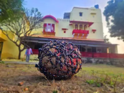 Century-Old Football Ritual with 80-Kg 'Dada' Predicts Rajasthan's Fate on Makar Sankranti