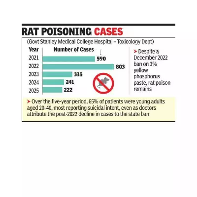 Chennai Doctors Battle Rat Poison Crisis: Hundreds Poisoned Annually