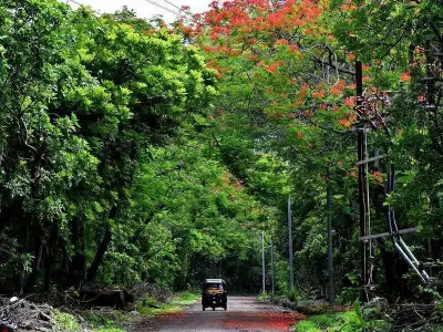 Chhatrapati Sambhajinagar Citizens Demand Clean Air Pledges in Civic Polls