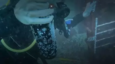 Chilean Divers Pioneer Underwater Wine Aging in Pacific Ocean Experiment