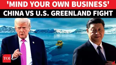 China Warns US Over Arctic Ambitions, Calls Trump's Greenland Plan Selfish