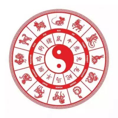 Chinese Horoscope Today: Daily Insights for All Zodiac Signs