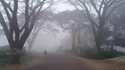 Chintapalle Hits 4.5°C, Andhra's Coldest This Season Amid Dense Fog