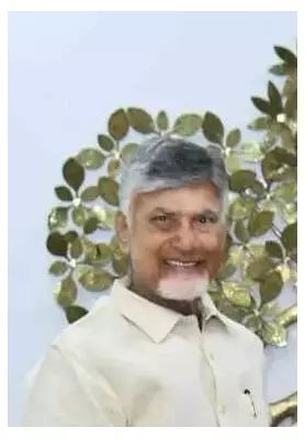 CM Naidu Pushes AI-Driven Governance in Andhra Pradesh to Ease Field Staff Burden